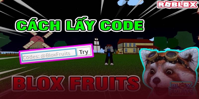Hướng dẫn cách lấy Code trong Blox Fruit miễn phí 